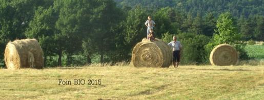 Foin bio 2017