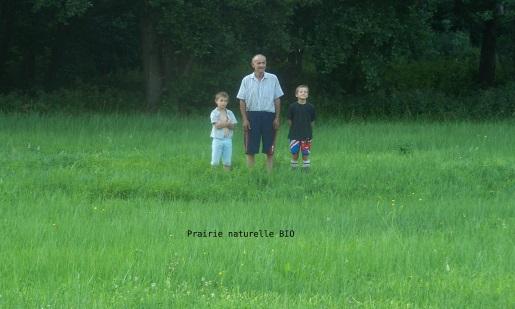 Prairie naturelle bio 2